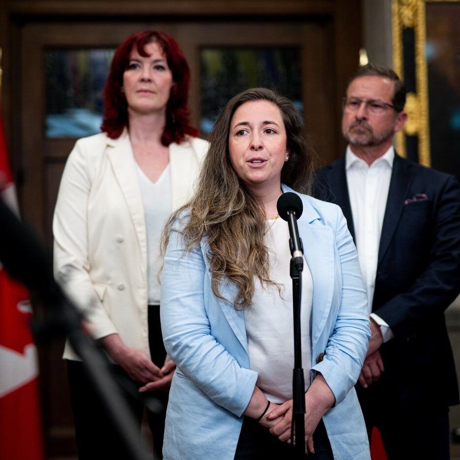 'Unreasonable' to cancel election won by single vote, lawyer for Liberal MP says